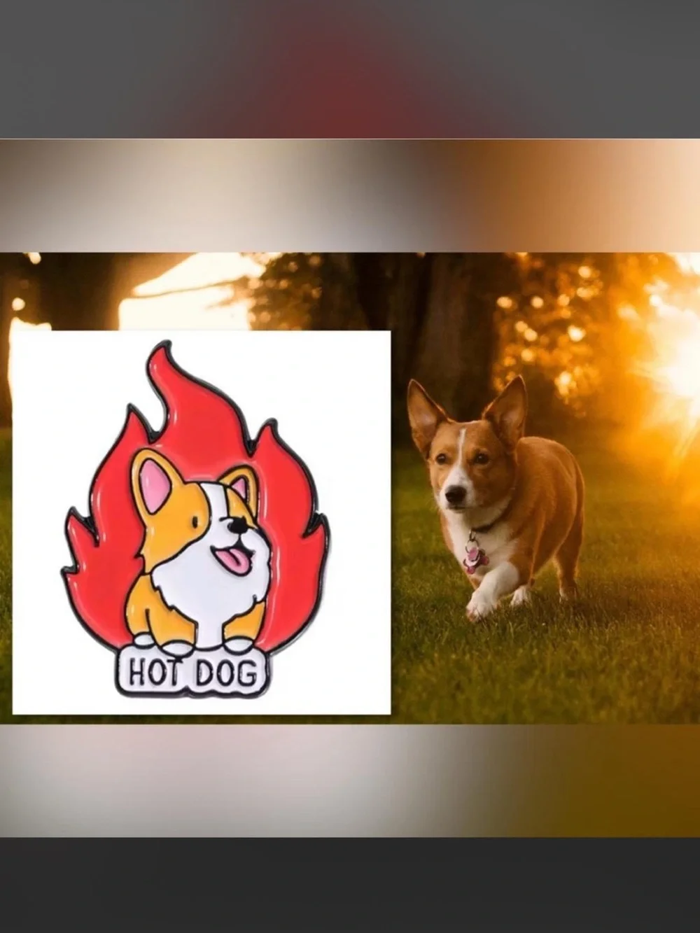 $2 Hot Dog Corgi Enamel Pin $2 WITH ANY $10 ORDER OR MORE